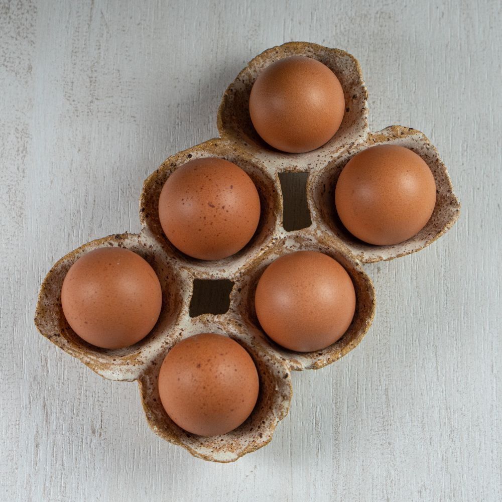 Huevos Gallinas Libre Pastoreo